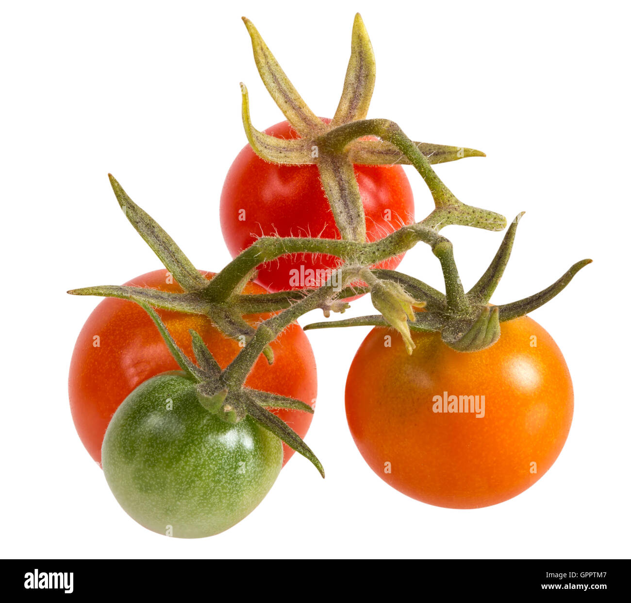 Red, yellow and green organic cherry tomatoes isolated on white background. Clipping path is included Stock Photo