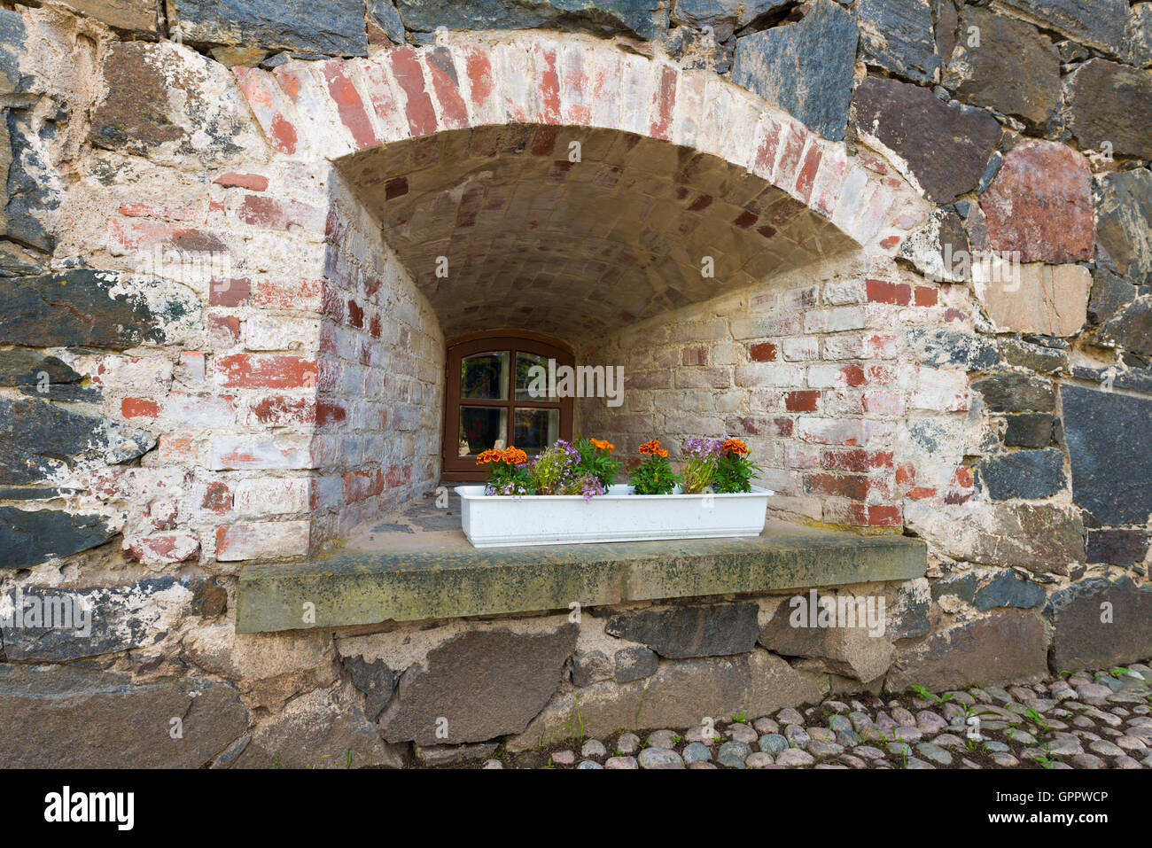 Flowers on window ledge Stock Photo Alamy