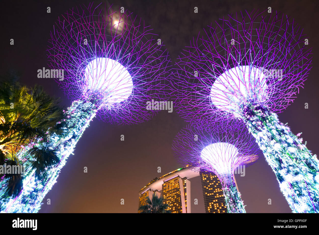 Gardens by the Bay, Singapore Stock Photo