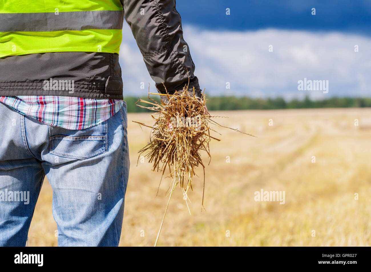 Field fodder hi-res stock photography and images - Alamy