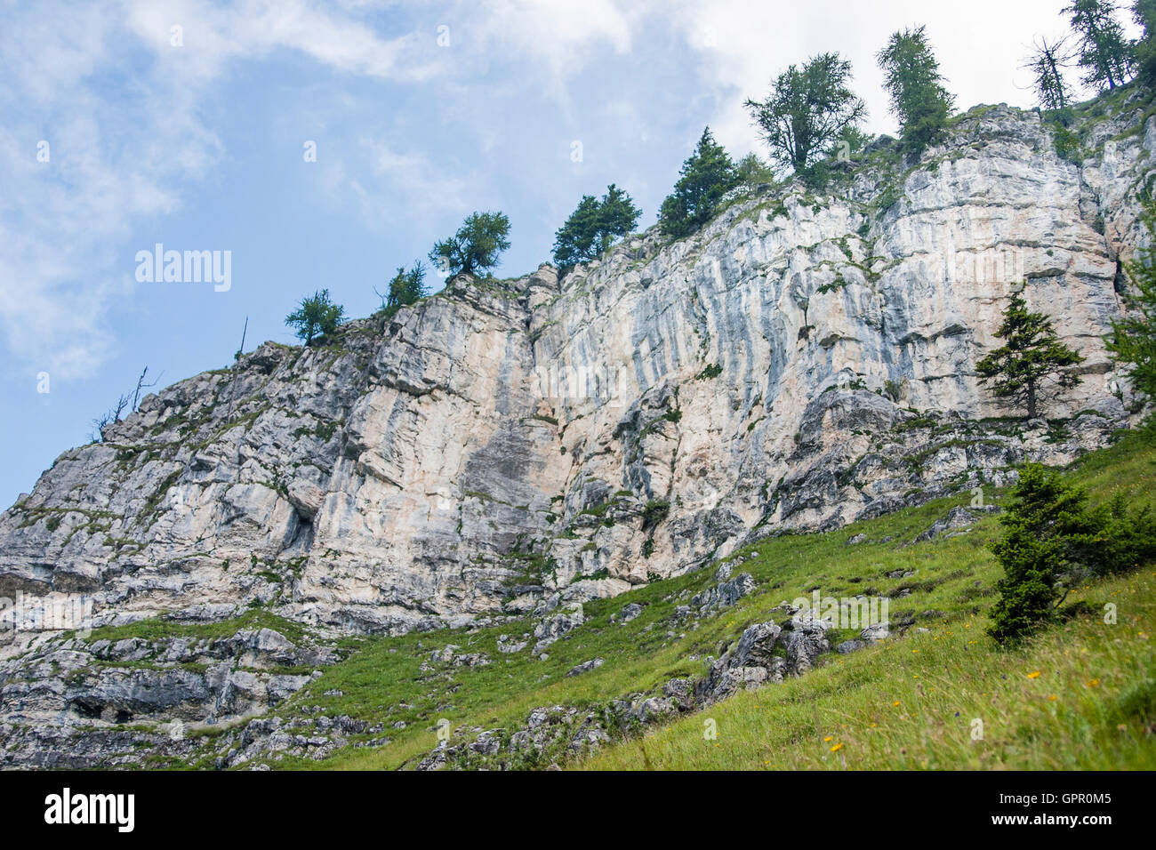 Rock cliff and trees hi-res stock photography and images - Alamy
