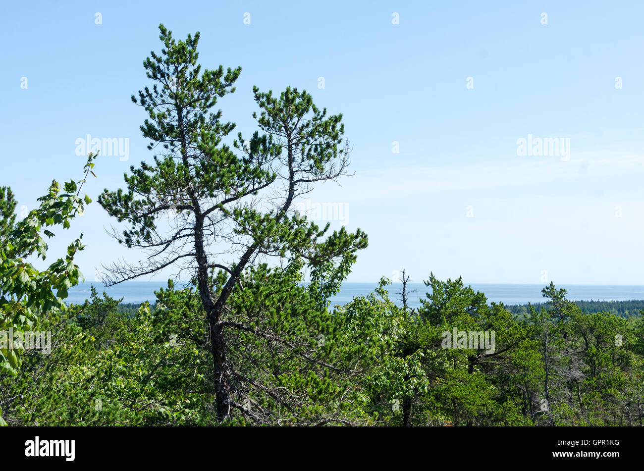 Looking toward Prospect Harbor from the top of Birch Harbor Mountain on