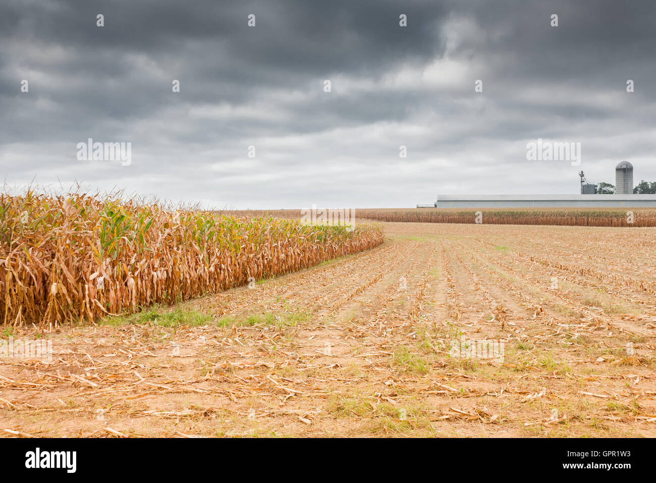 View of Amish Country farm in Pennsylvania. Stock Photo