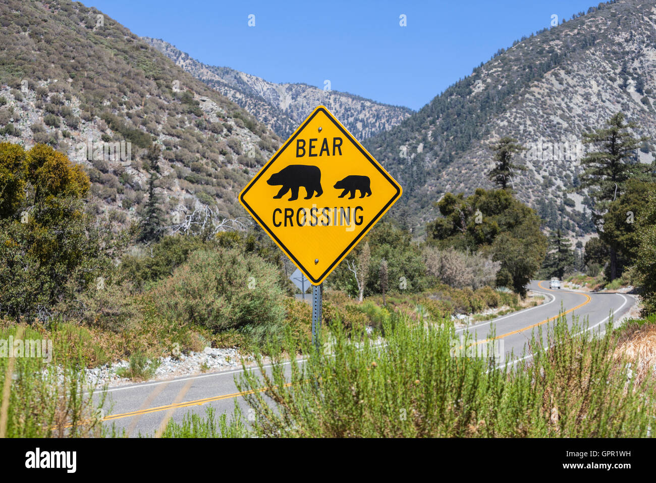 Bear crossing caution highway sign on rural mountain road. Stock Photo