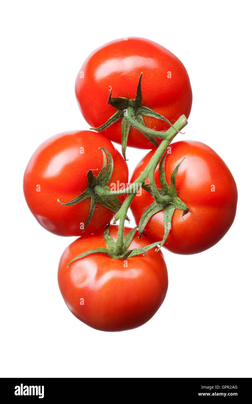 bunch of red tomatoes isolated on white Stock Photo - Alamy