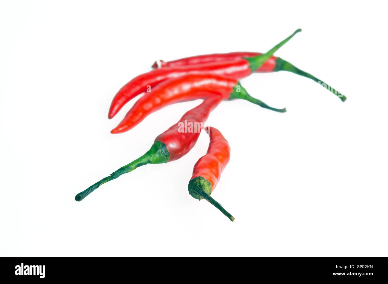 Red hot spicy chili pepper (Also named as chile pepper, Capsicum annuum, Capsicum frutescens, Capsicum chinense, Capsicum Chili, Stock Photo