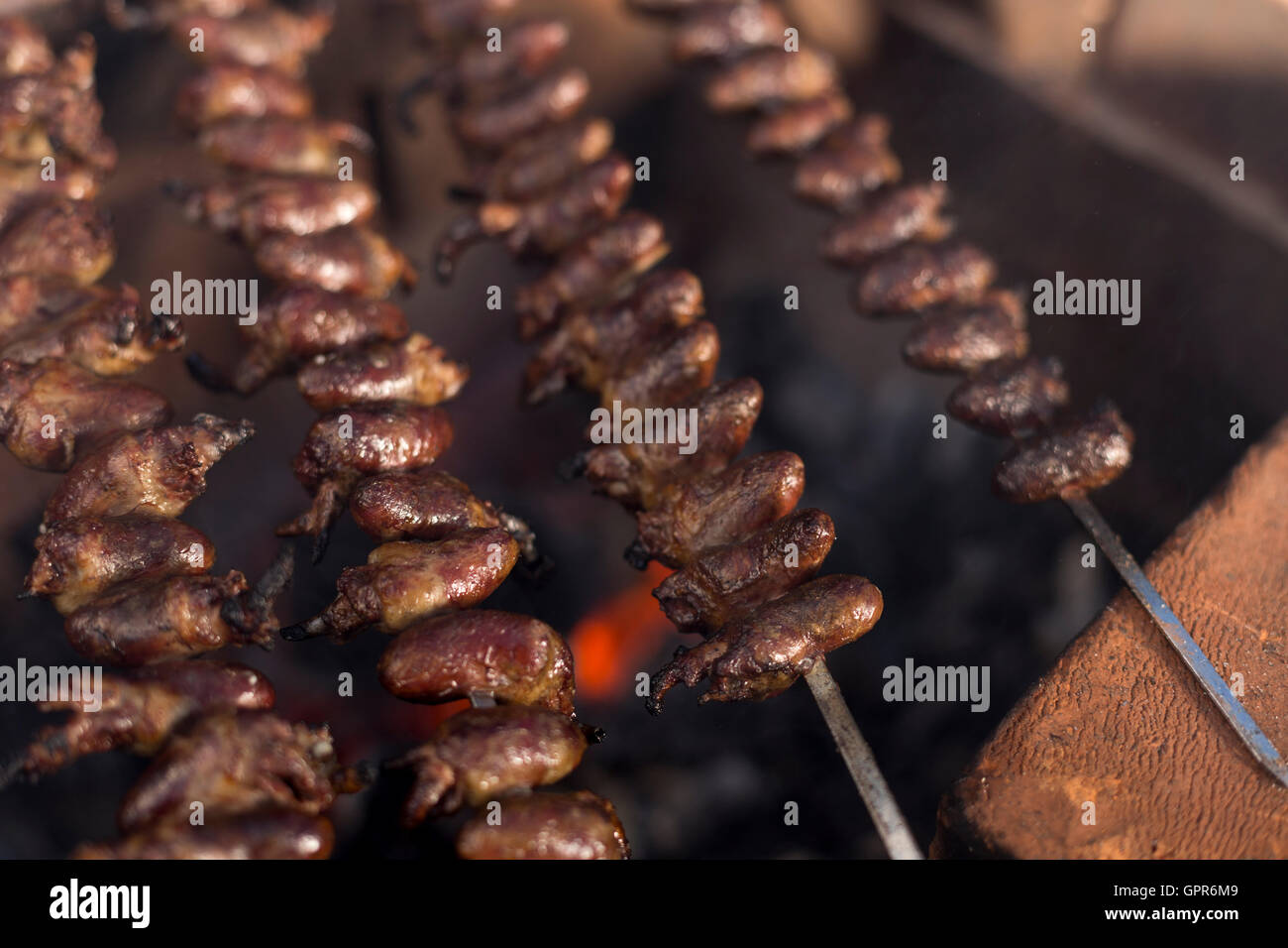 churrasco-traditional-brazilian-barbecue-chicken-hearts-grilled-kebabs-GPR6M9.jpg