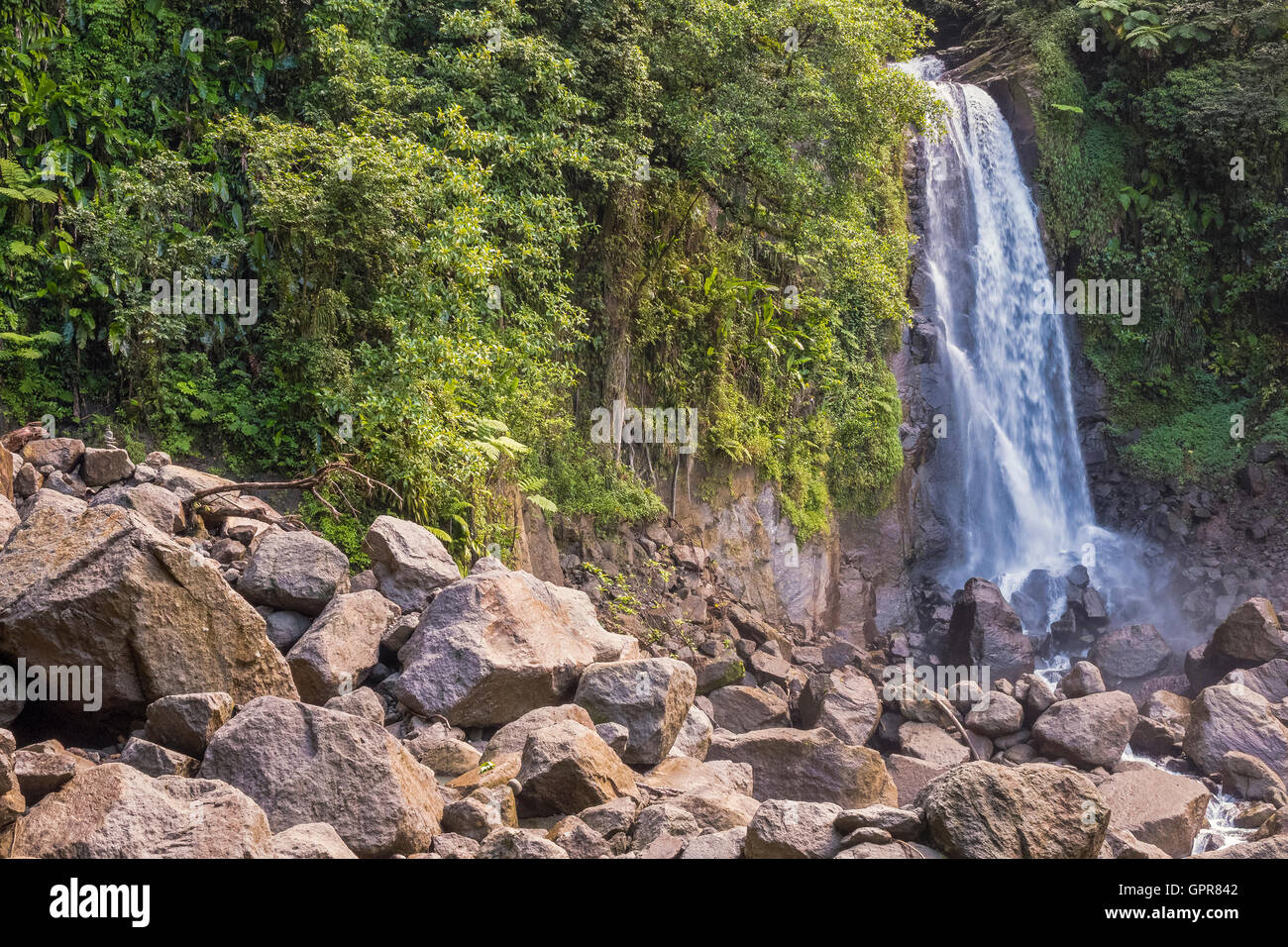 Trafalgar Falls Waterfall Dominica West Indies Stock Photo