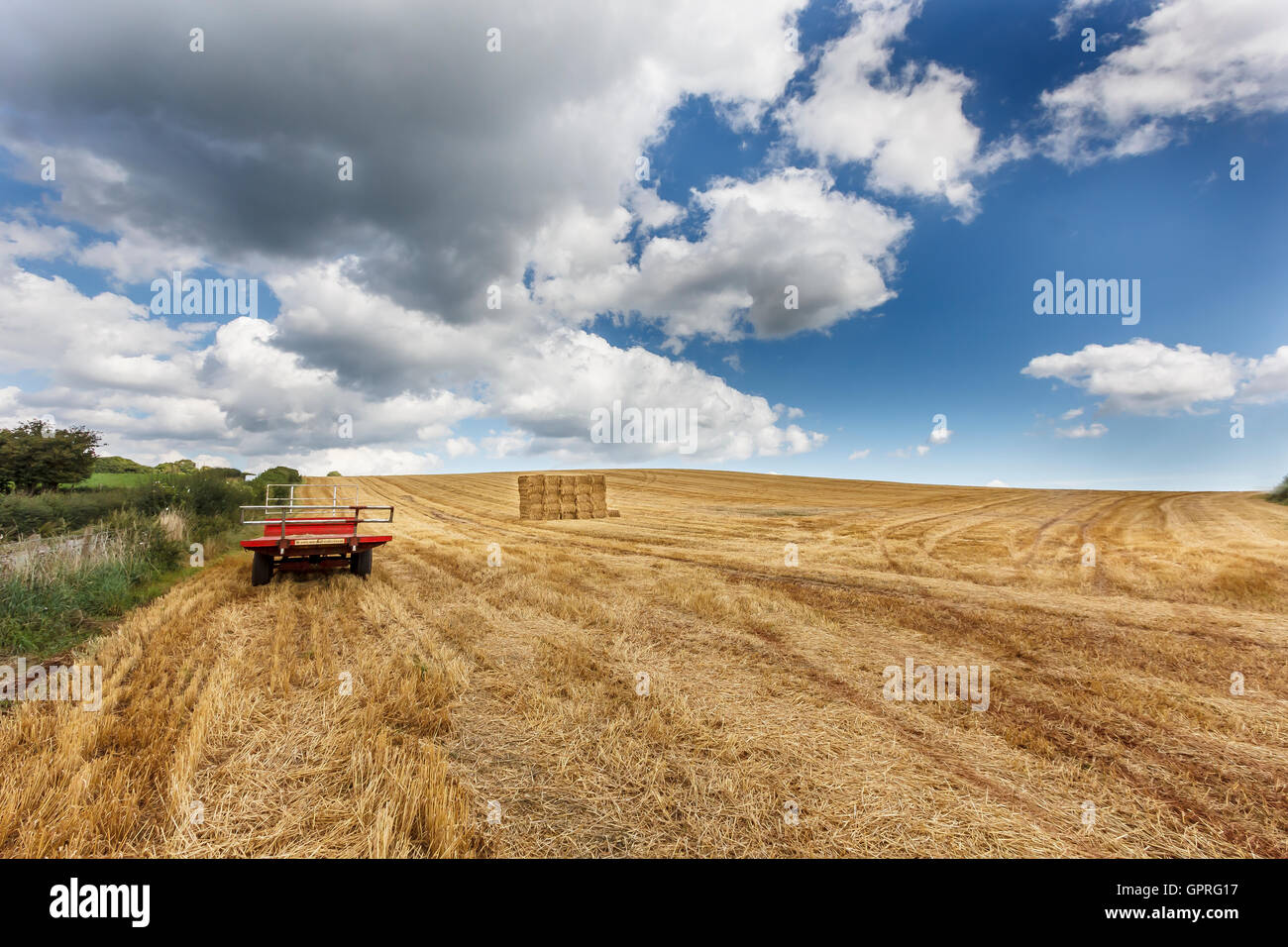 Corn fields of Gloucestershire at Harvest time Stock Photo