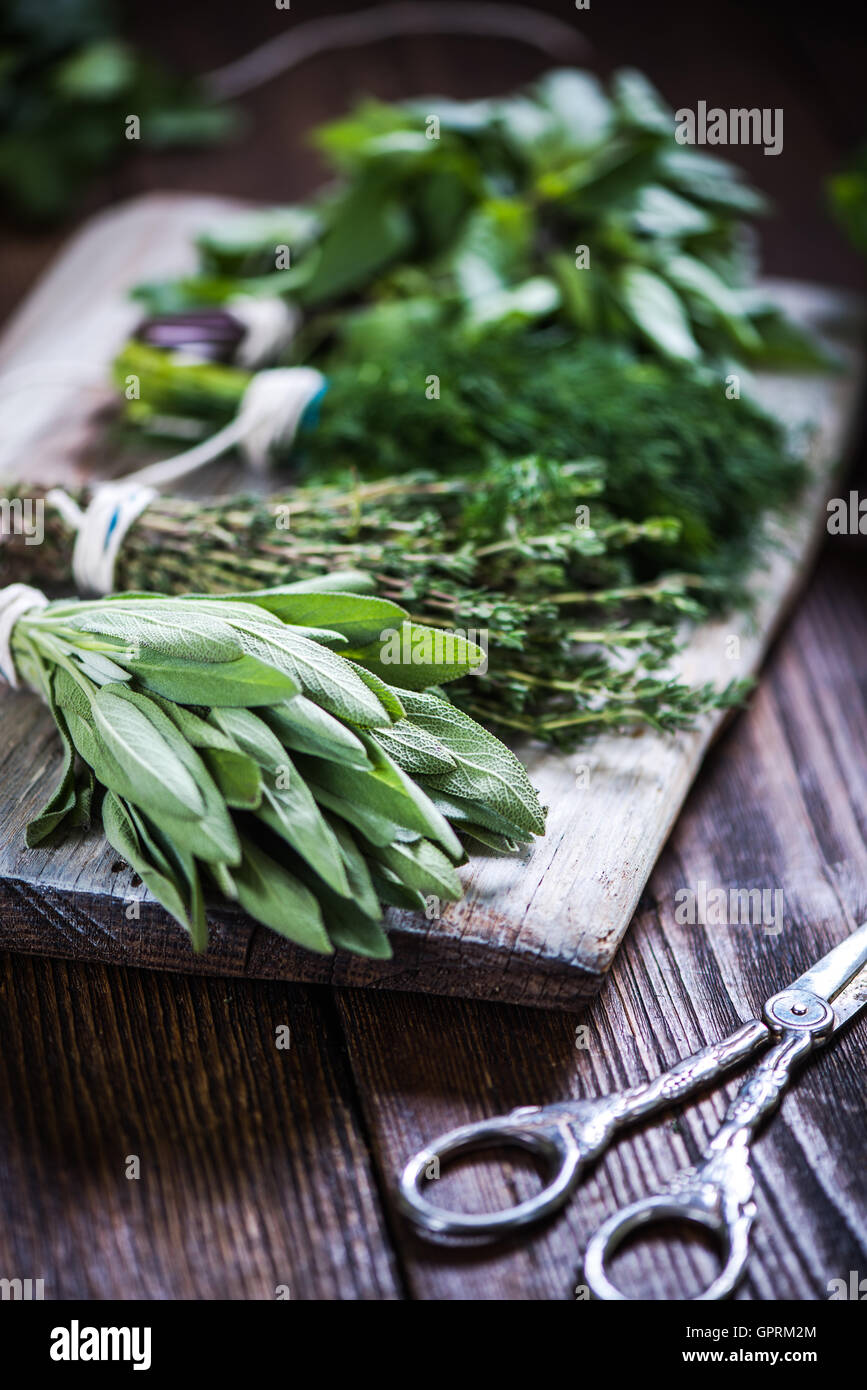 Drying herb spice oregano hi-res stock photography and images - Alamy