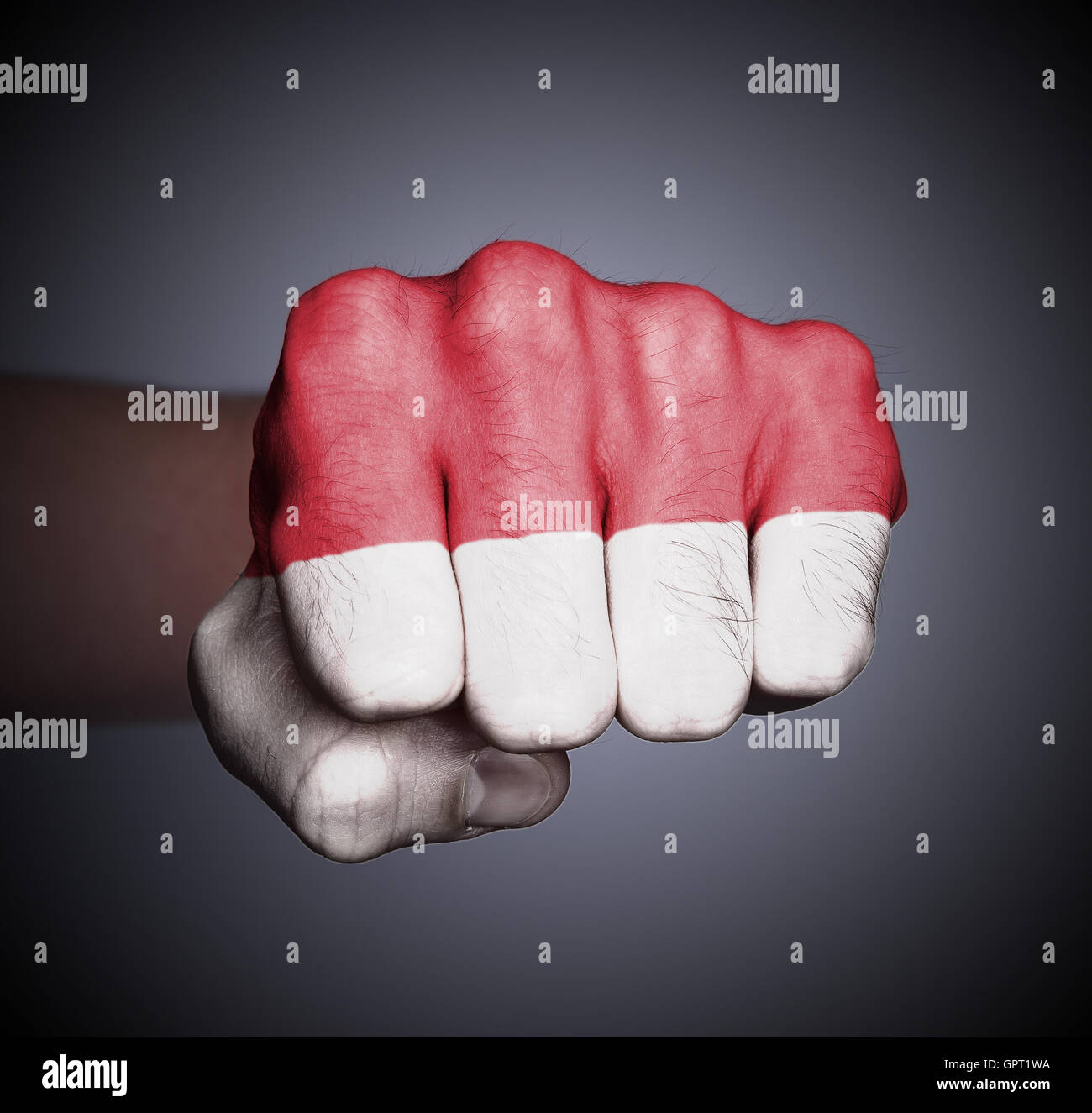 Front view of punching fist on gray background Stock Photo Alamy