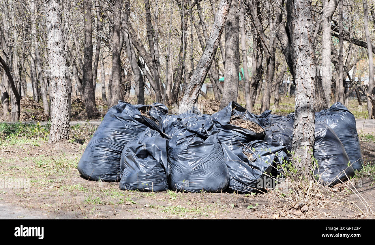 Many black garbage bags at curb Stock Photo Alamy