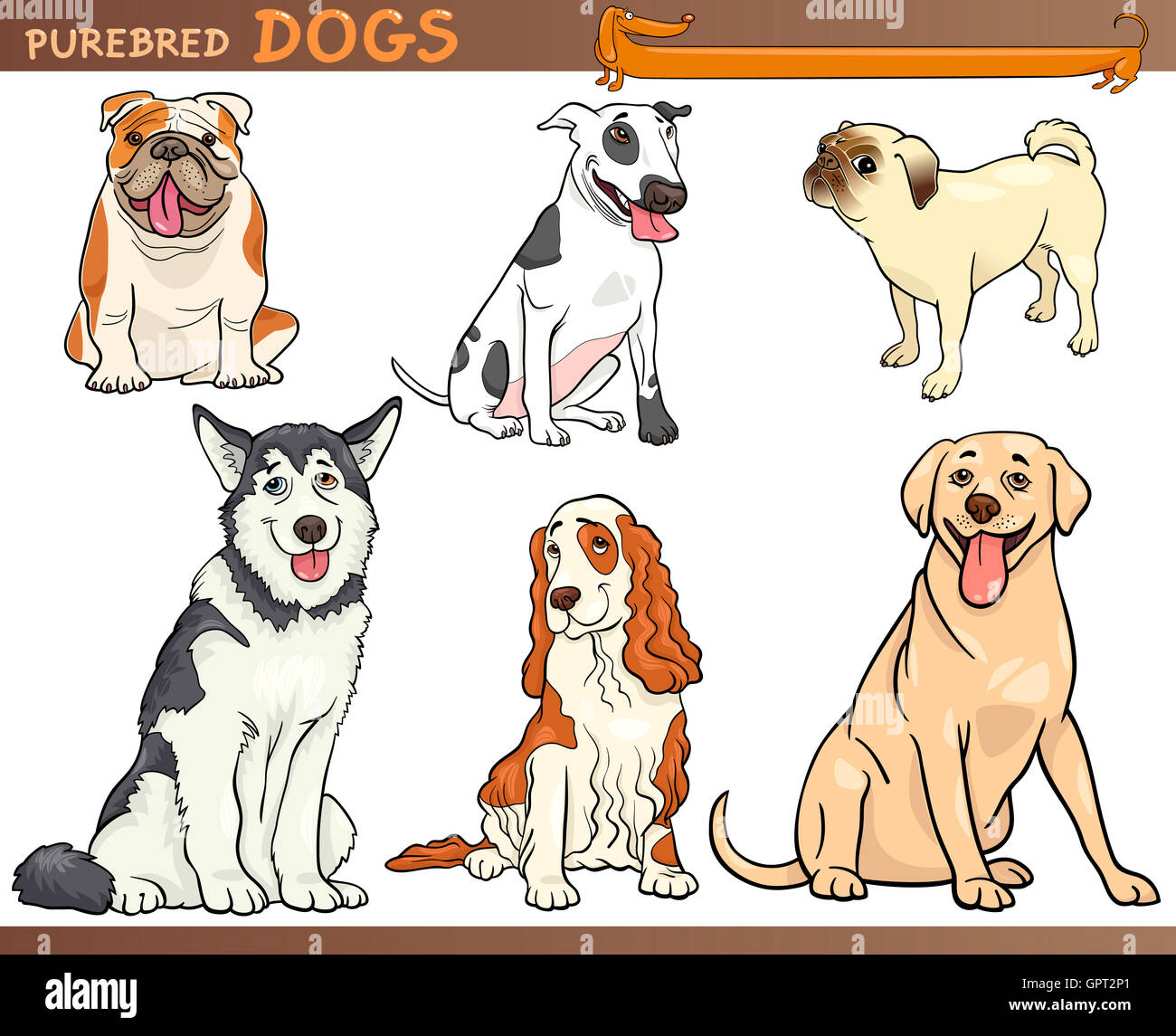 purebred dogs cartoon illustration set Stock Photo - Alamy