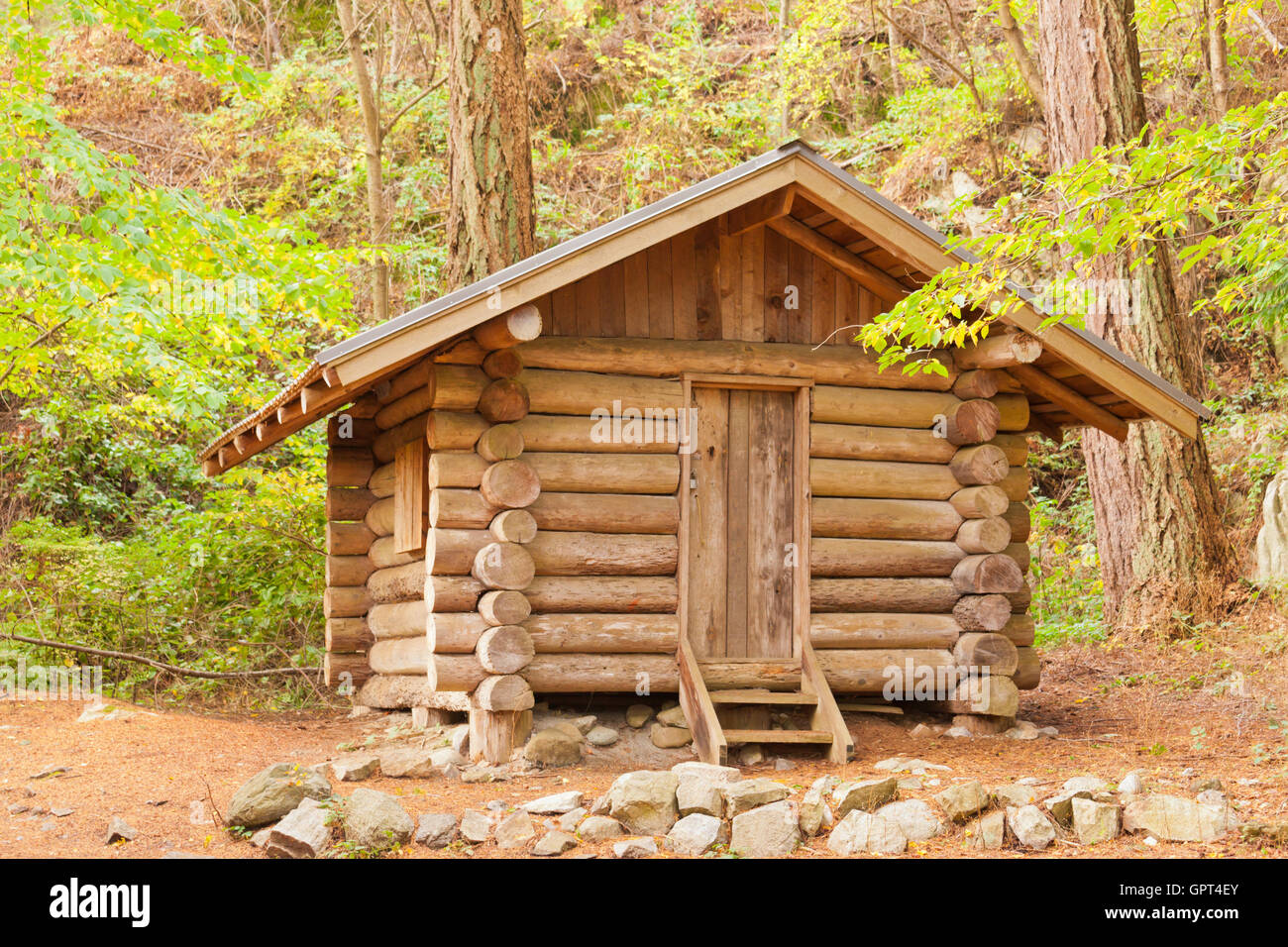 Old Solid Log Cabin Shelter Hidden In The Forest Stock Photo