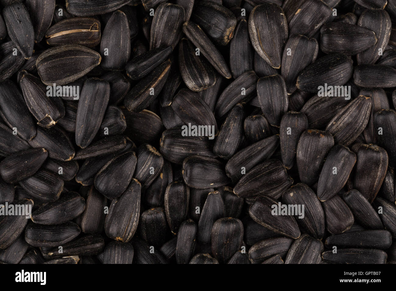 Heap of black sunflower seeds as a background Stock Photo - Alamy