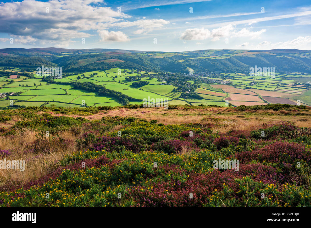 Bossington Hill in late summer overlooking the rolling hills of Exmoor near Porlock, Somerset, England. Stock Photo