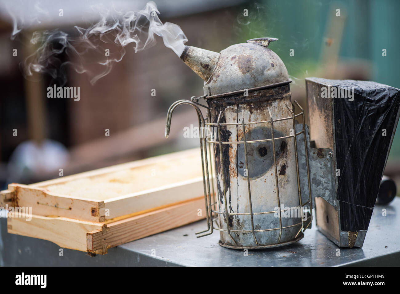 Smoker used for calming bees at apiary Stock Photo