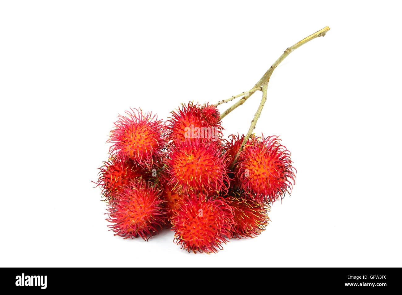 Rambutan farm Cut Out Stock Images & Pictures - Alamy