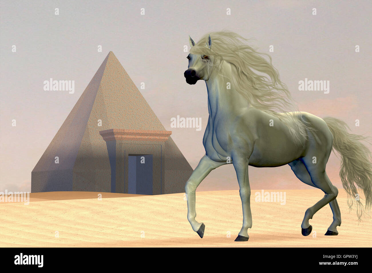 Arabian charger hires stock photography and images Alamy