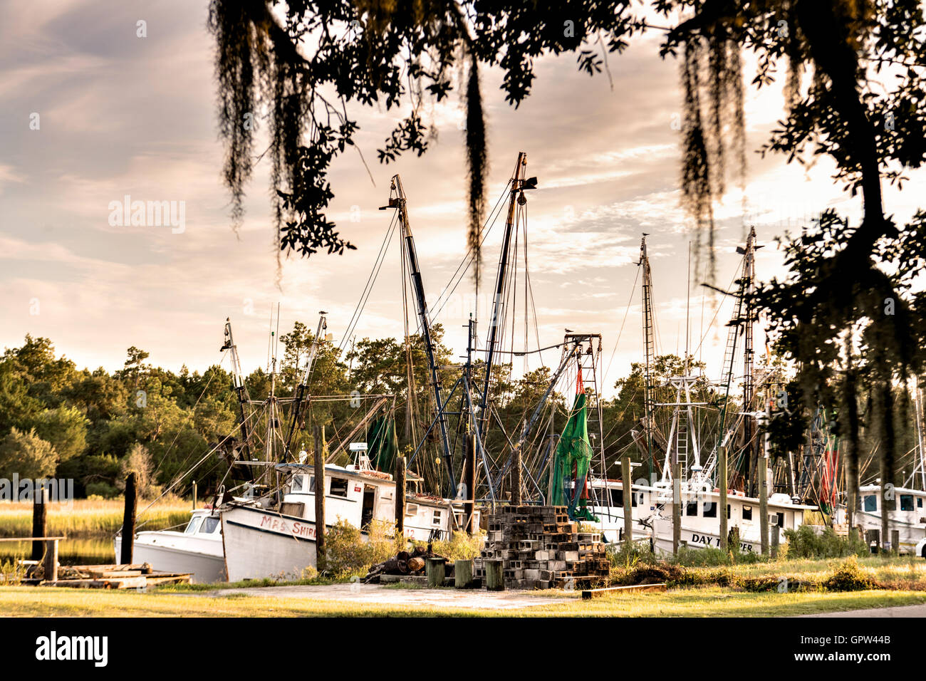 Shrimp boats tied up at the docks along Jeremy Creek in the village of