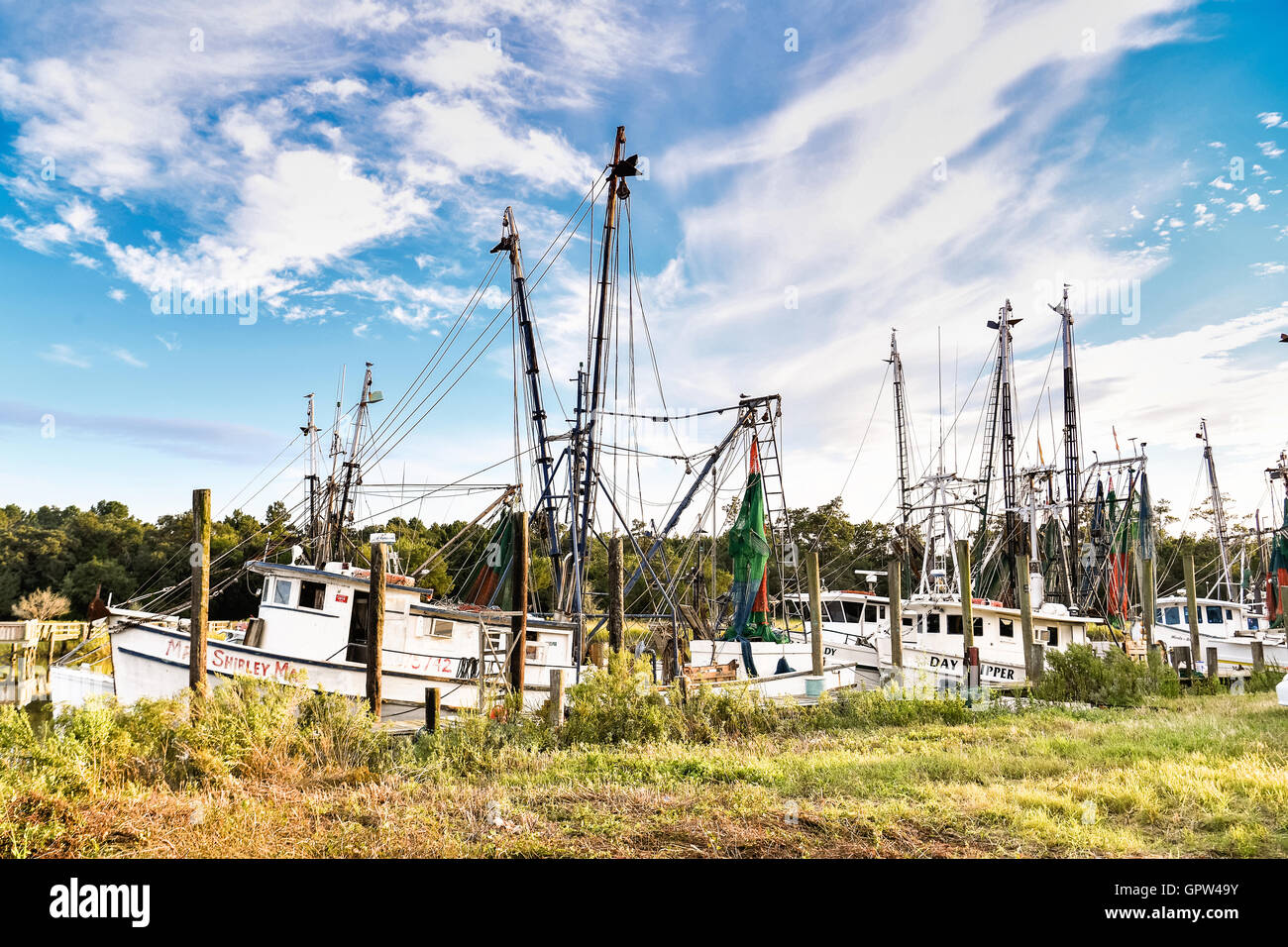 Shrimp boats tied up at the docks along Jeremy Creek in the village of