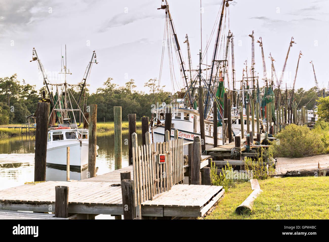 Shrimp boats tied up at the docks along Jeremy Creek in the village of