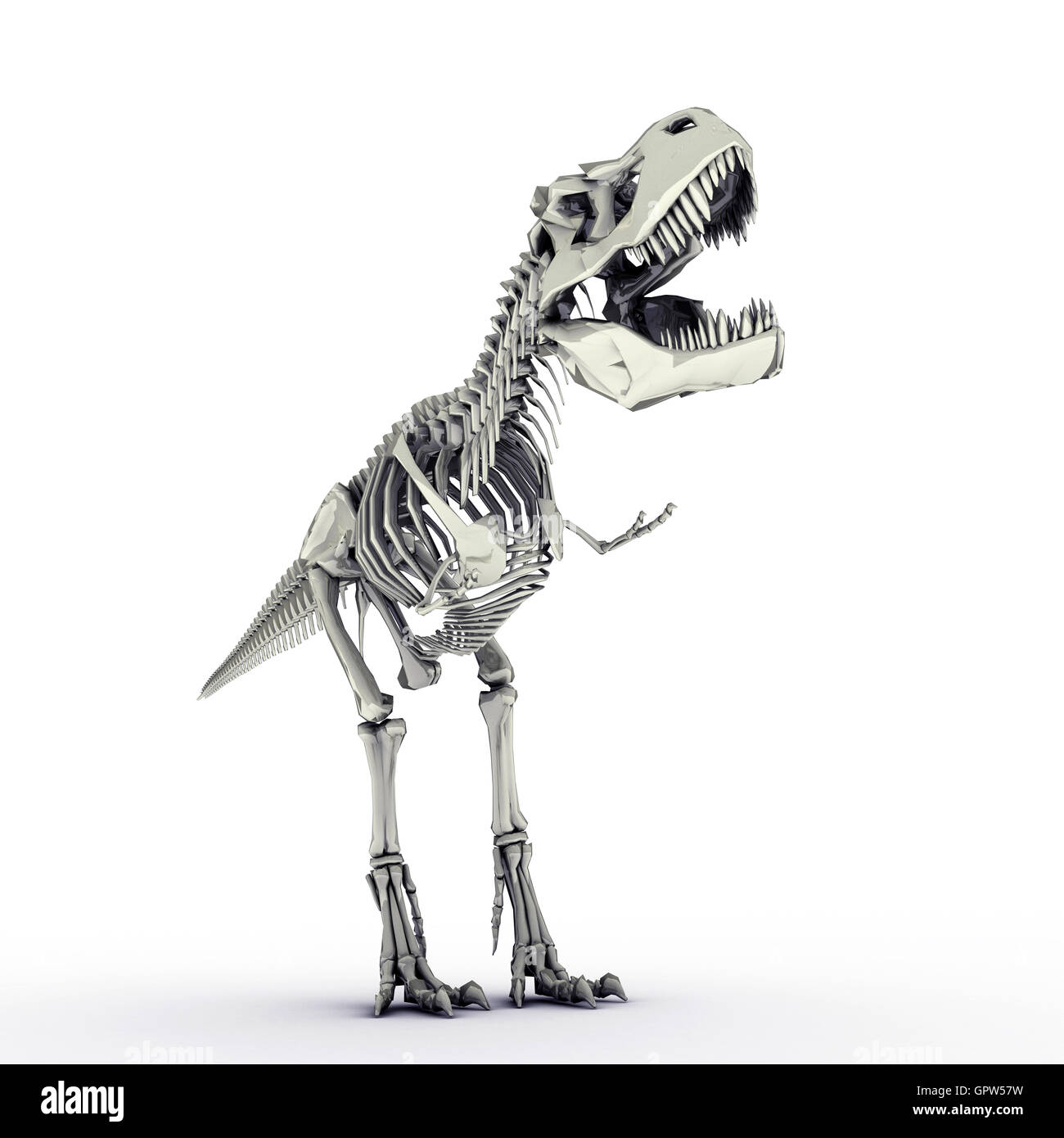 t-rex skeleton Stock Photo