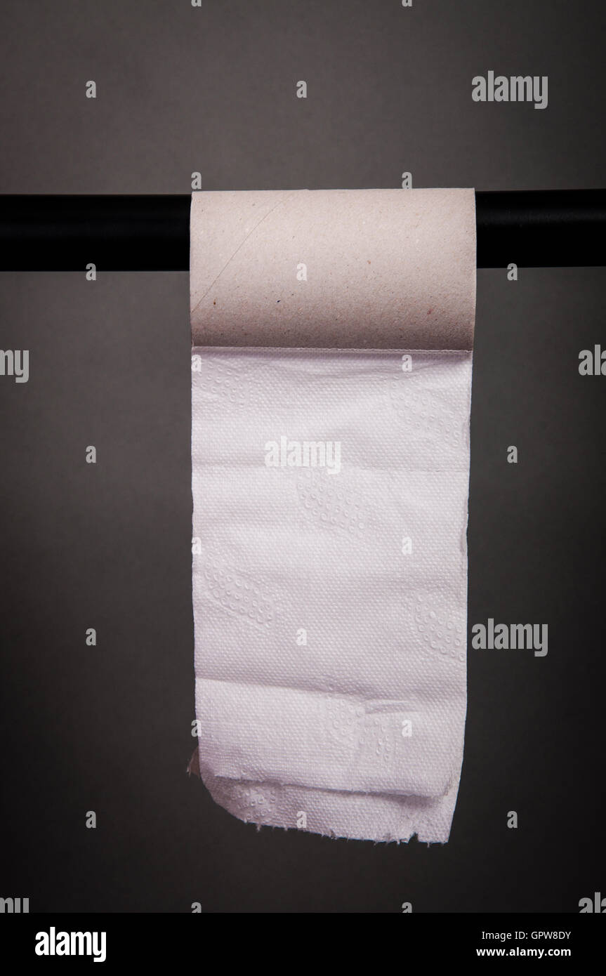 Empty toilet paper roll Stock Photo Alamy