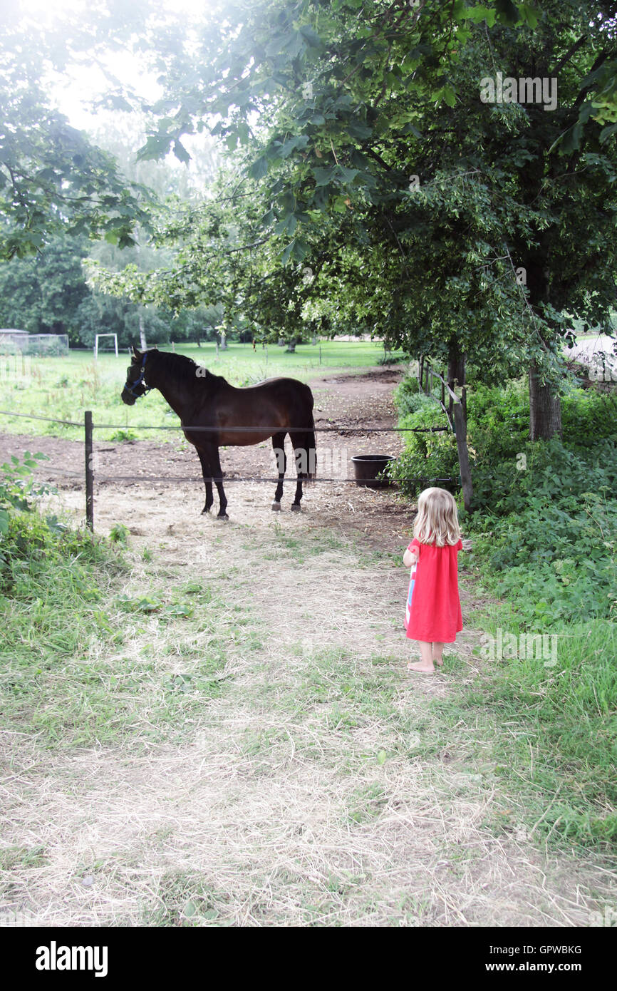 Little girl and horse Stock Photo Alamy