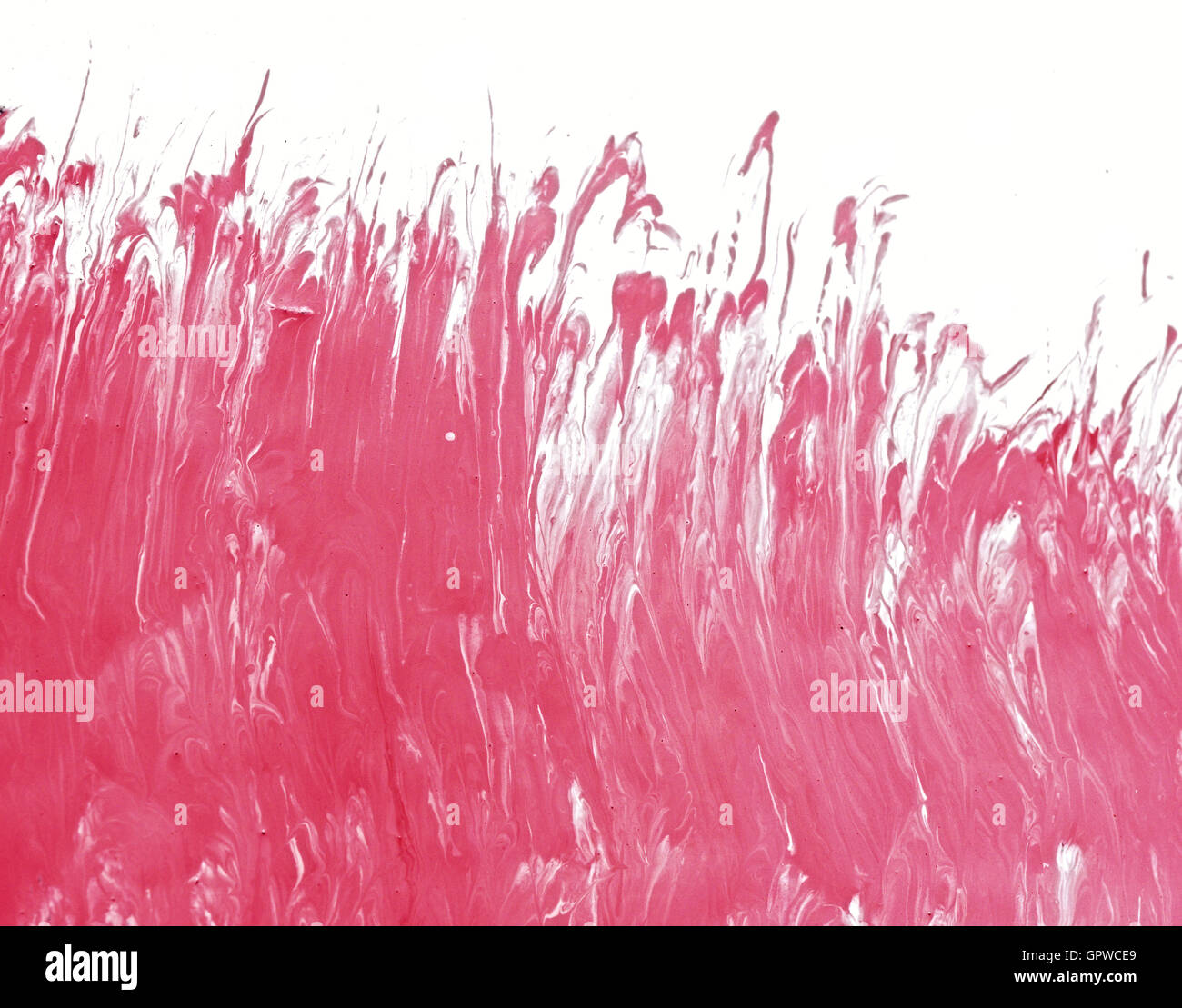 Abstract acrylic painted background. red on white Stock Photo