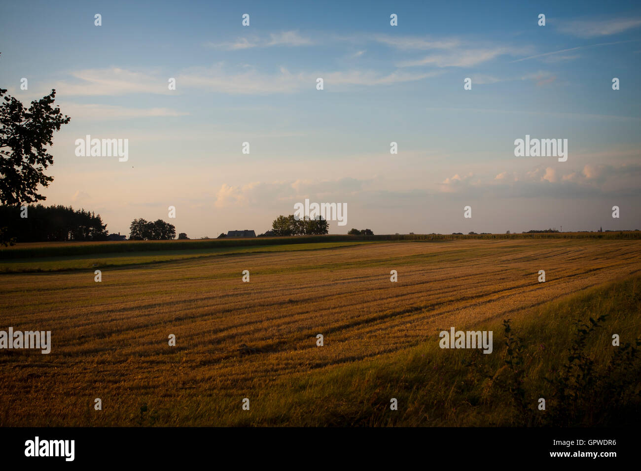 field after harvest Stock Photo - Alamy