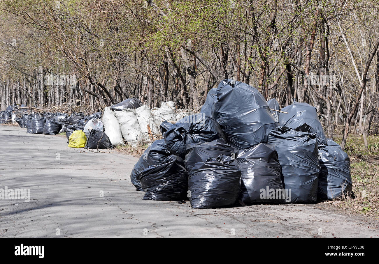 Pile of full black garbage bags with tall city buildings in the Stock