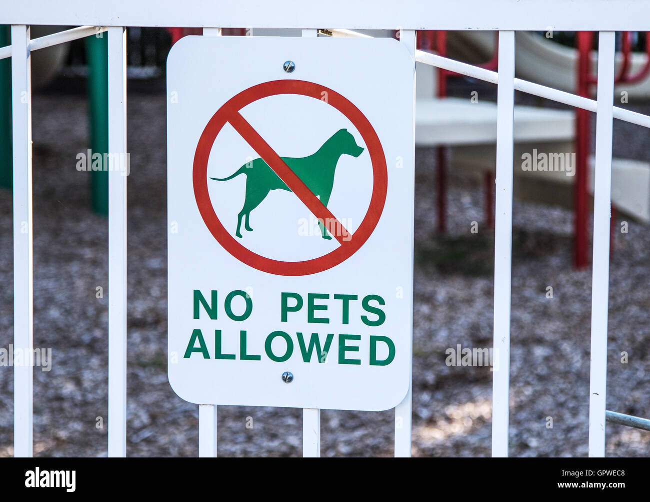 A 'No pets allowed' allowed sign on a fence of a children playground. Stock Photo