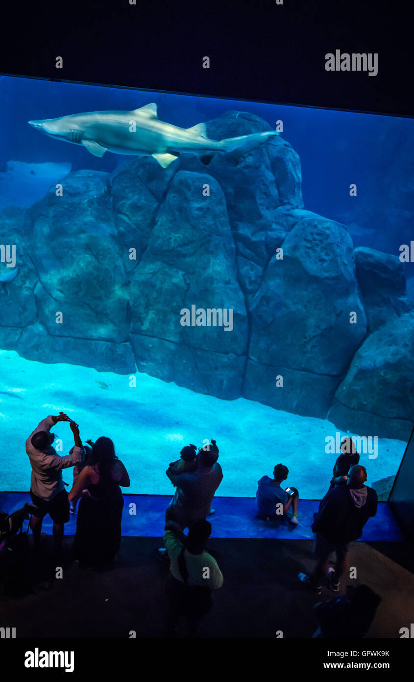 Public aquarium, Camden, NJ Stock Photo Alamy