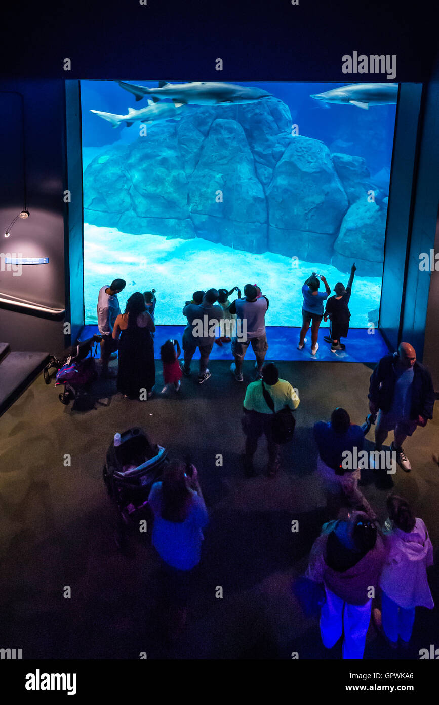 Public aquarium, Camden, NJ Stock Photo Alamy