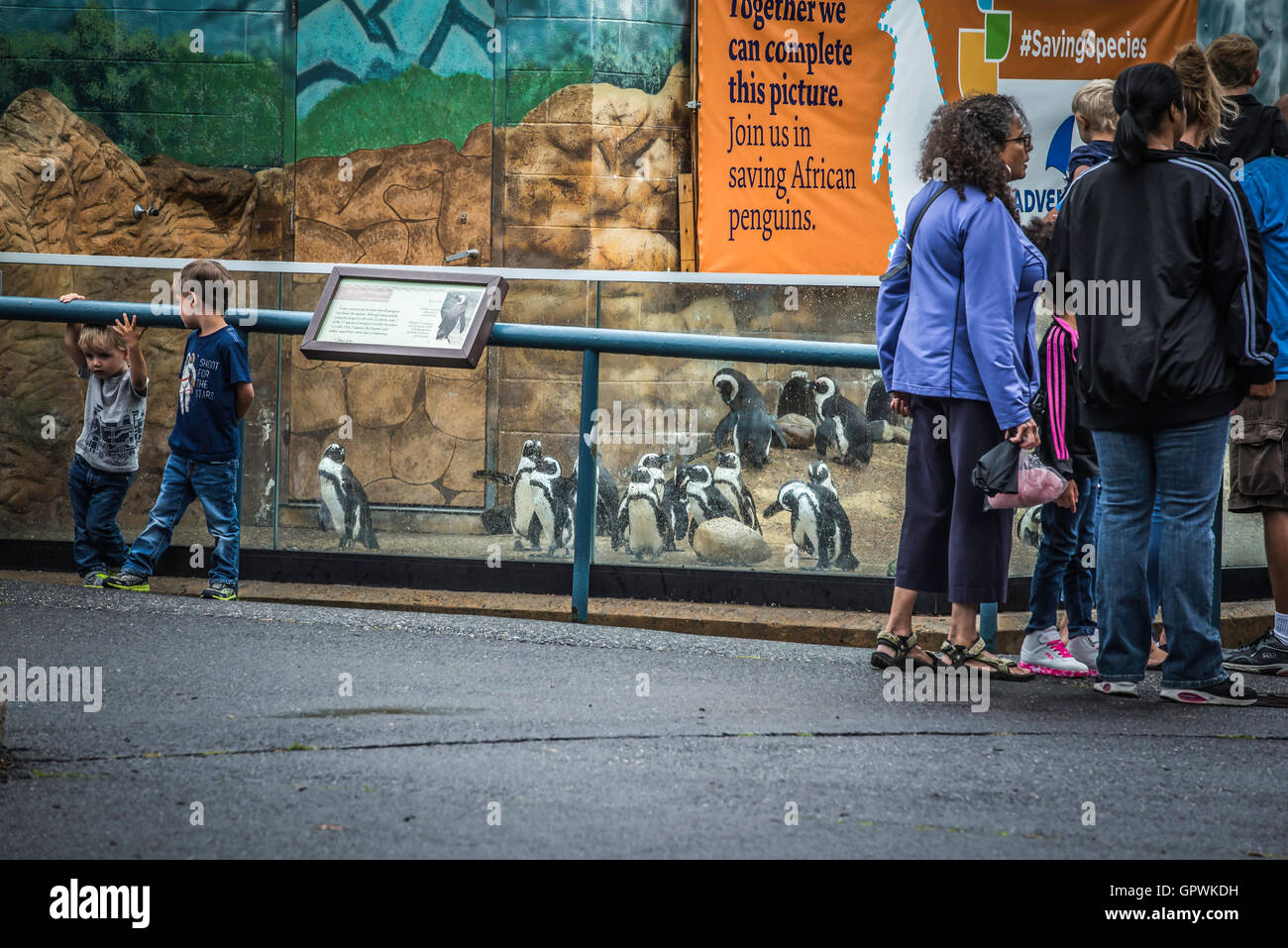 Public aquarium, Camden, NJ Stock Photo Alamy