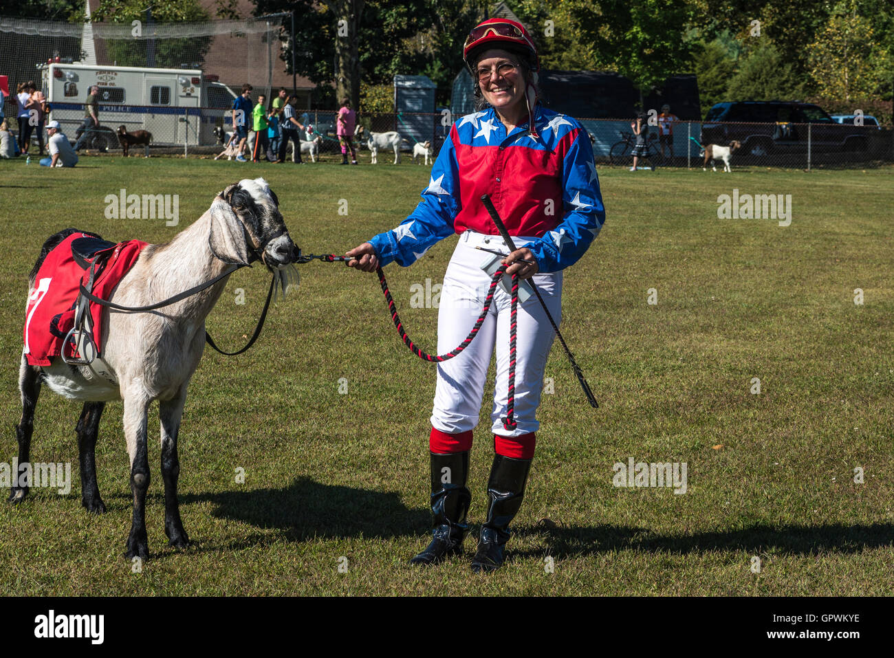 Falmouth Goat races Stock Photo Alamy