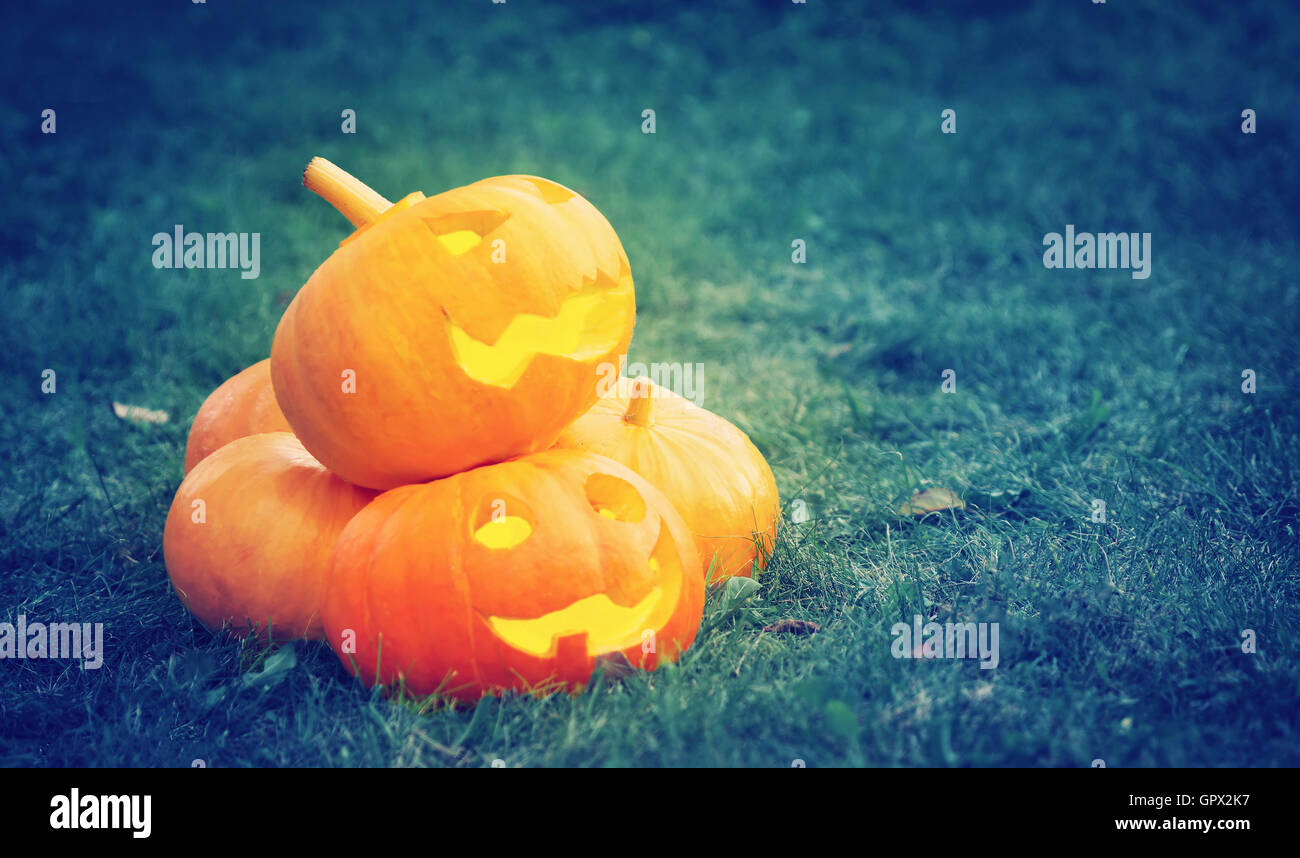 pumpkins for halloween on green grass background Stock Photo - Alamy