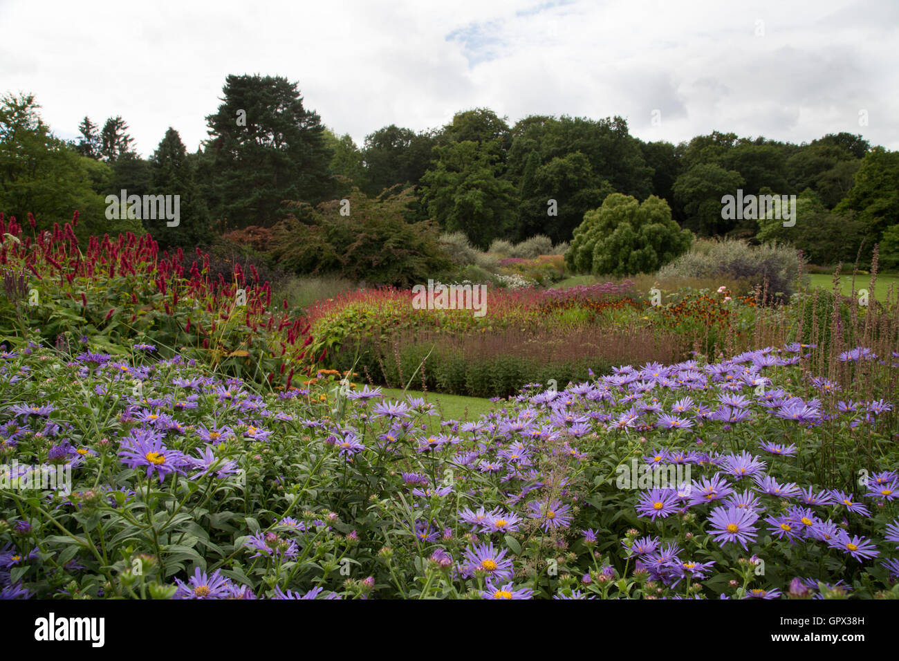 Harrogate, UK. Colourful flowers still visible as summer comes to a close at RHS Garden Harlow Carr in Harrogate, North Yorkshir Stock Photo