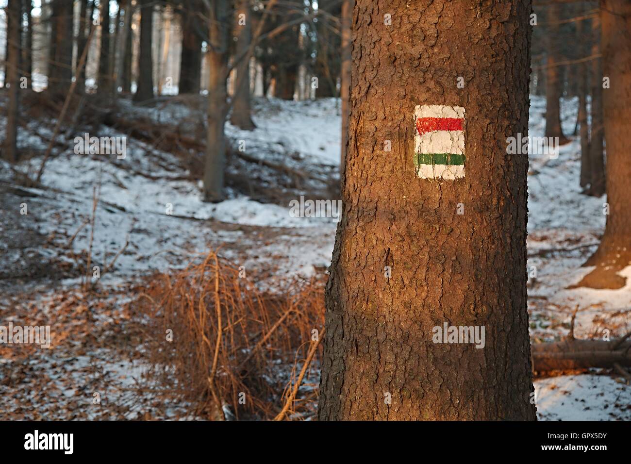 Hiking trail signs Stock Photo - Alamy