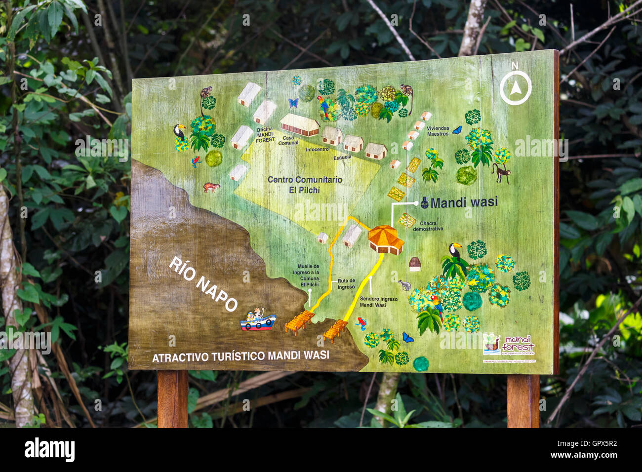 Map of the location of Pilchi Community on the Napo River (an Amazon tributary), Ecuador, South America Stock Photo