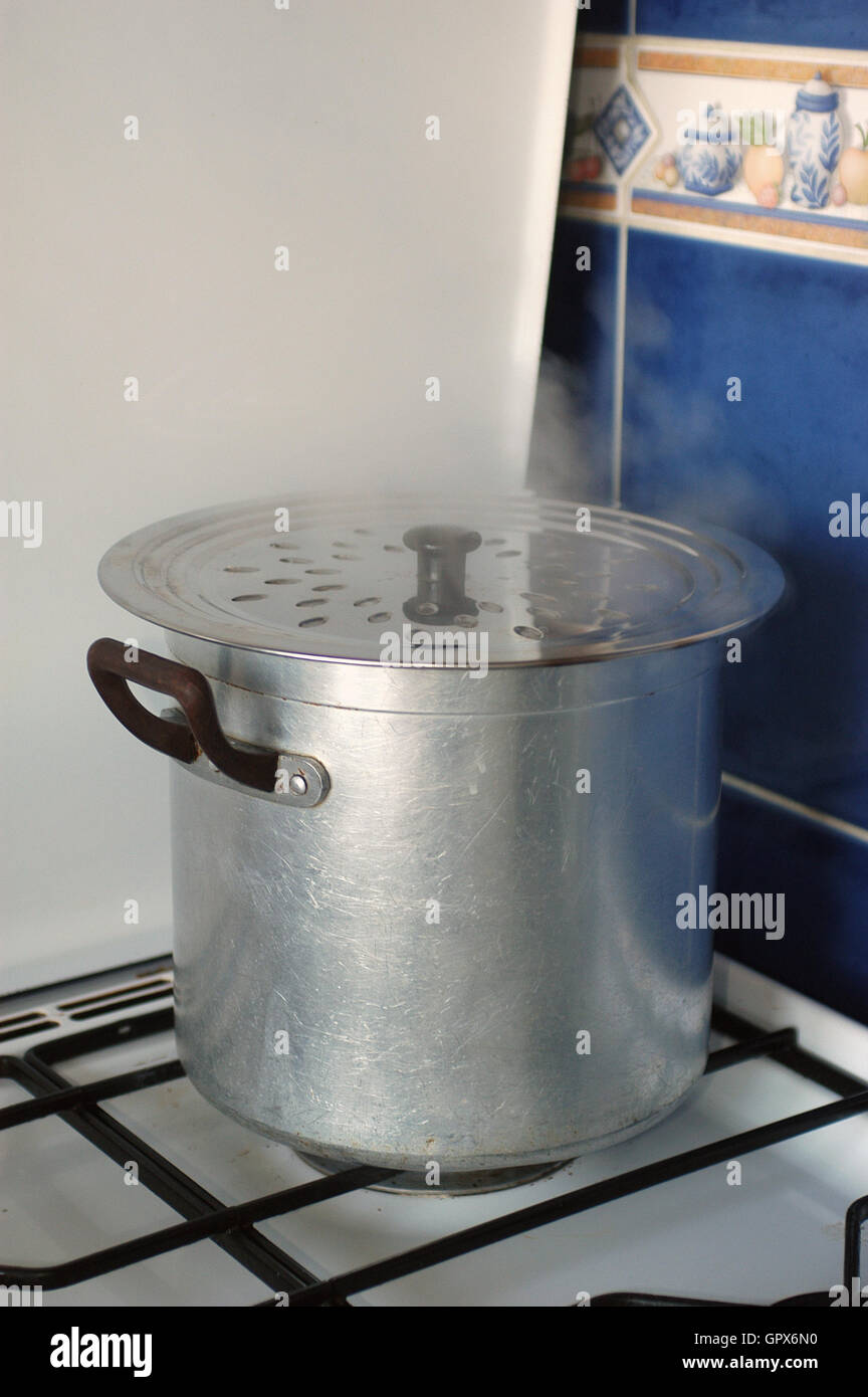cooking a stew on the stove Stock Photo Alamy