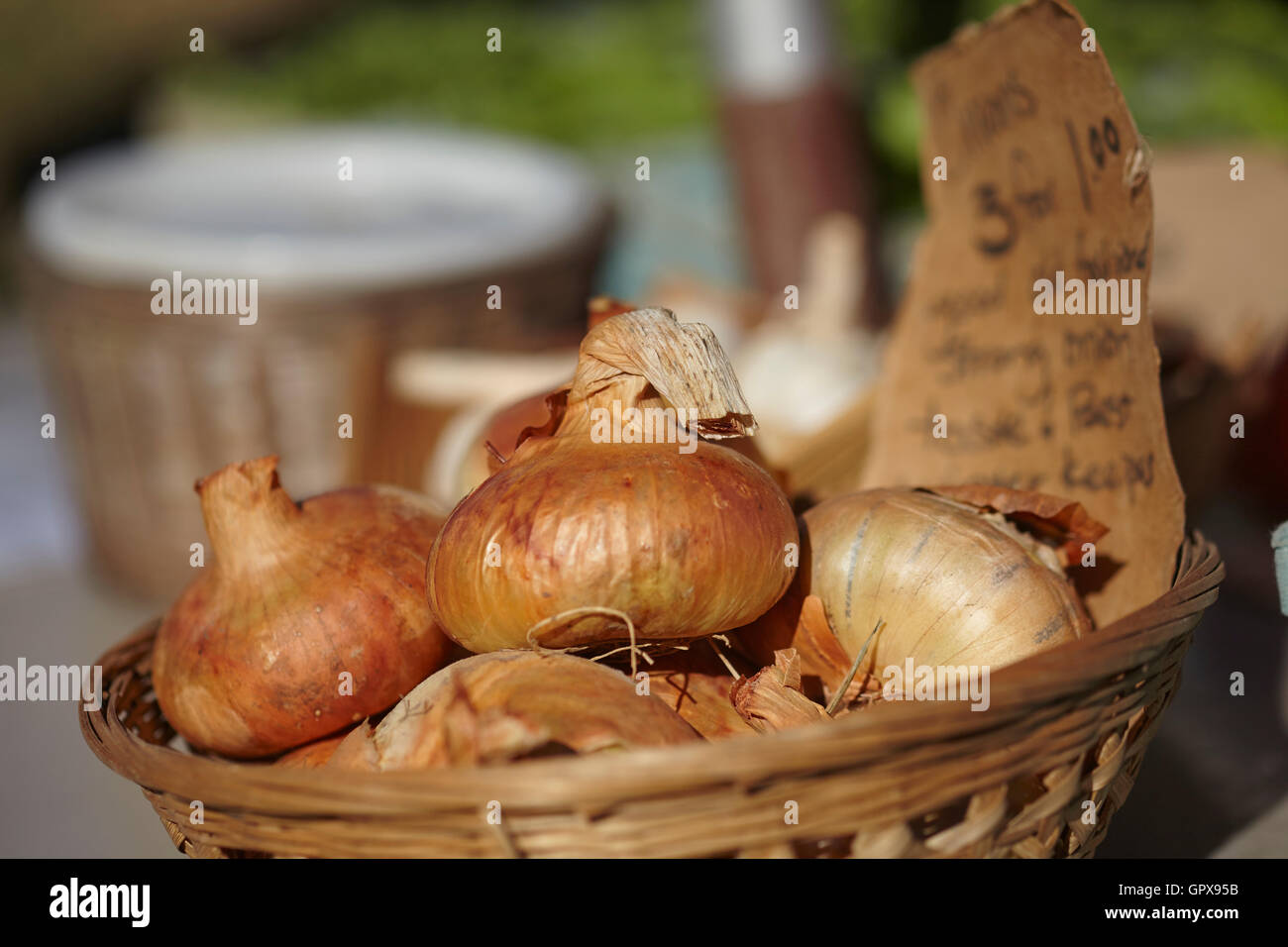 Basket of onions at a Pennsylvania roadside farm market Stock Photo