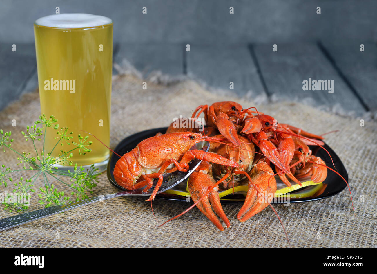 Boiled crabs with lemon, dill and beer Stock Photo Alamy