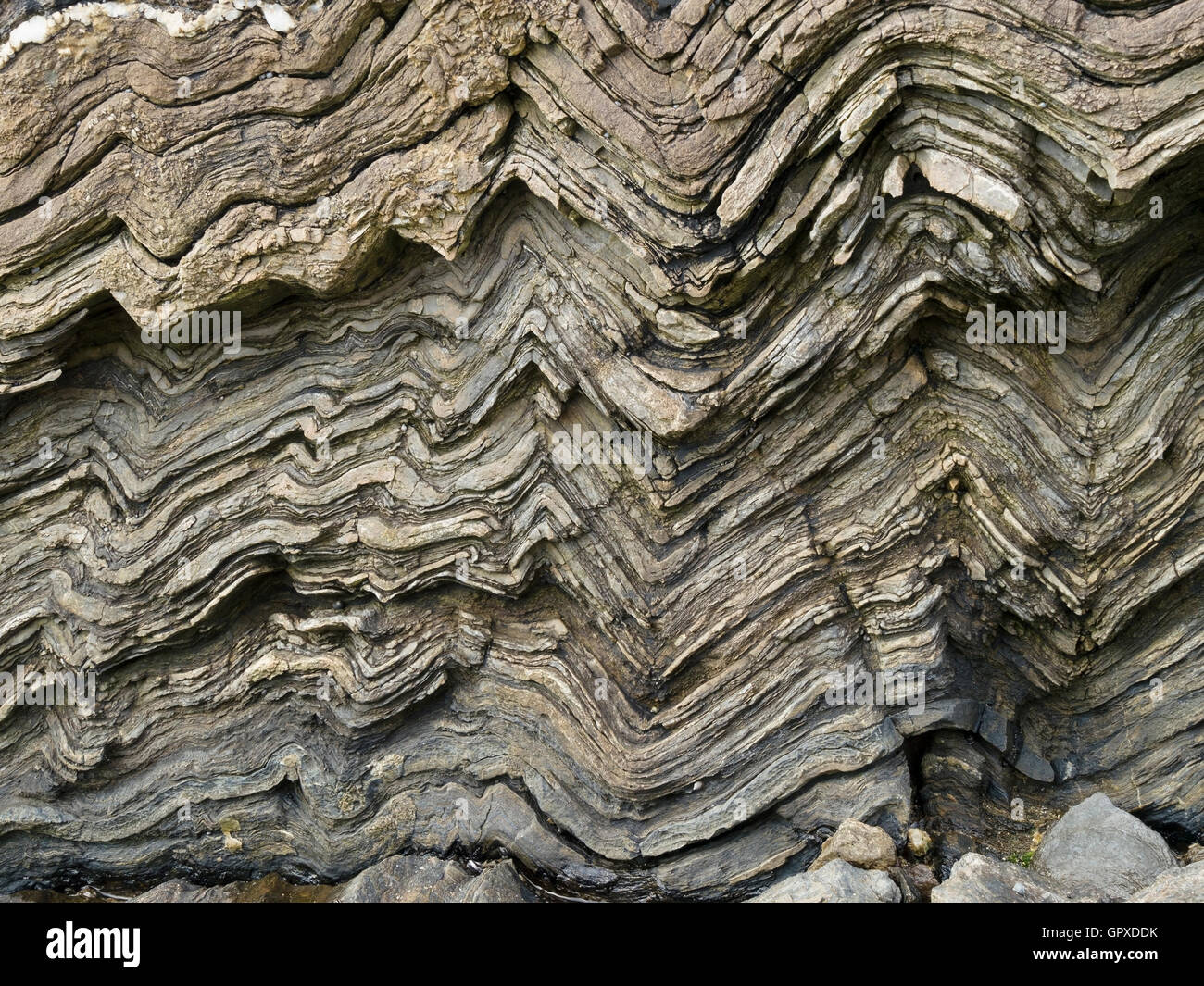 Folded, crumpled, layers of sedimentary rock strata in rocky cliff, Kiloran Bay, Isle of Colonsay, Scotland, UK. Stock Photo