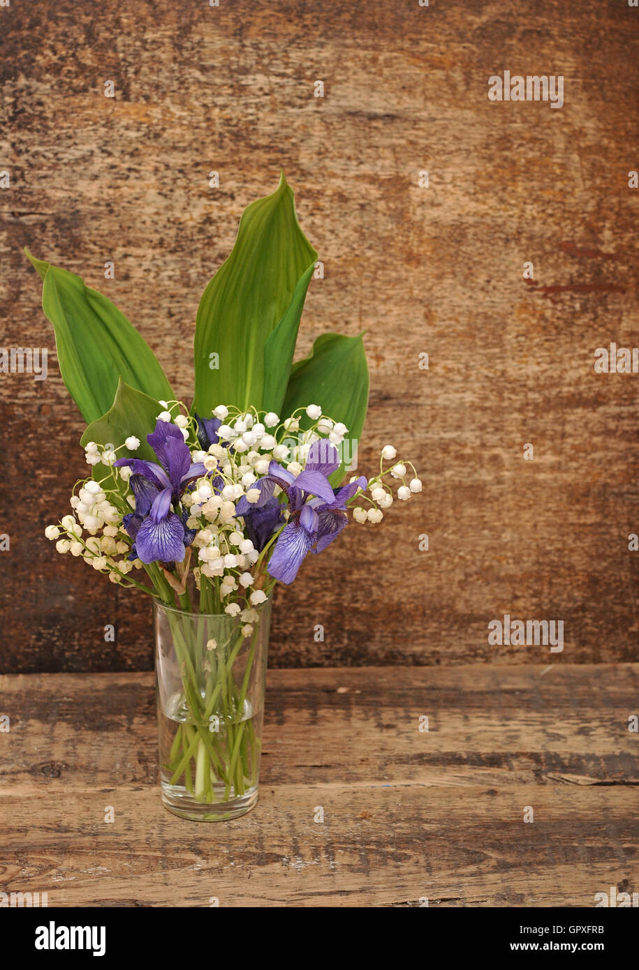 Still-life bouquet of lily of the valley with blue irises Stock Photo ...