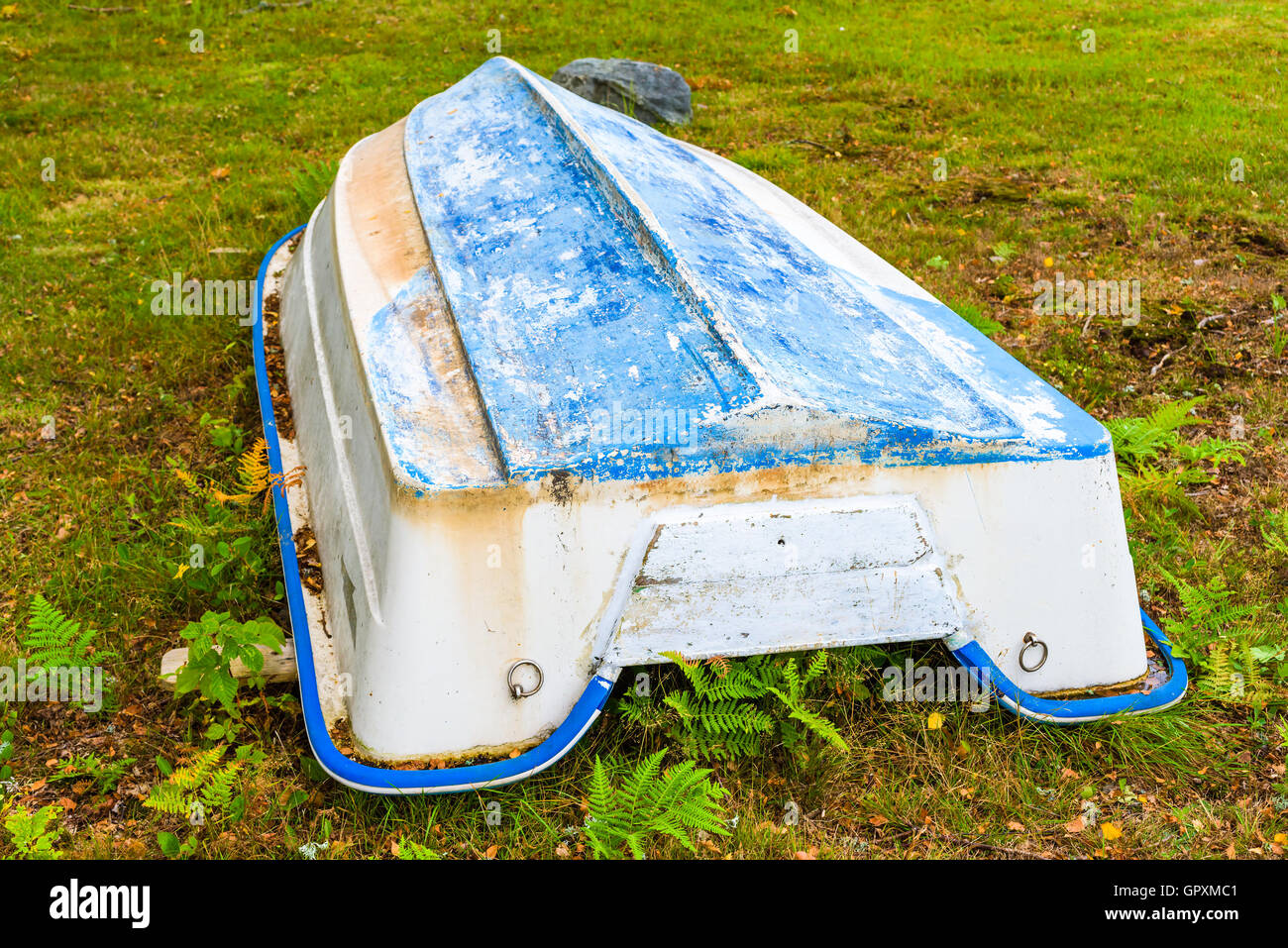 Upside down boat on land. The boat has blue keel and yellowing white sides. Dry leaves have started to accumulate around it. Stock Photo