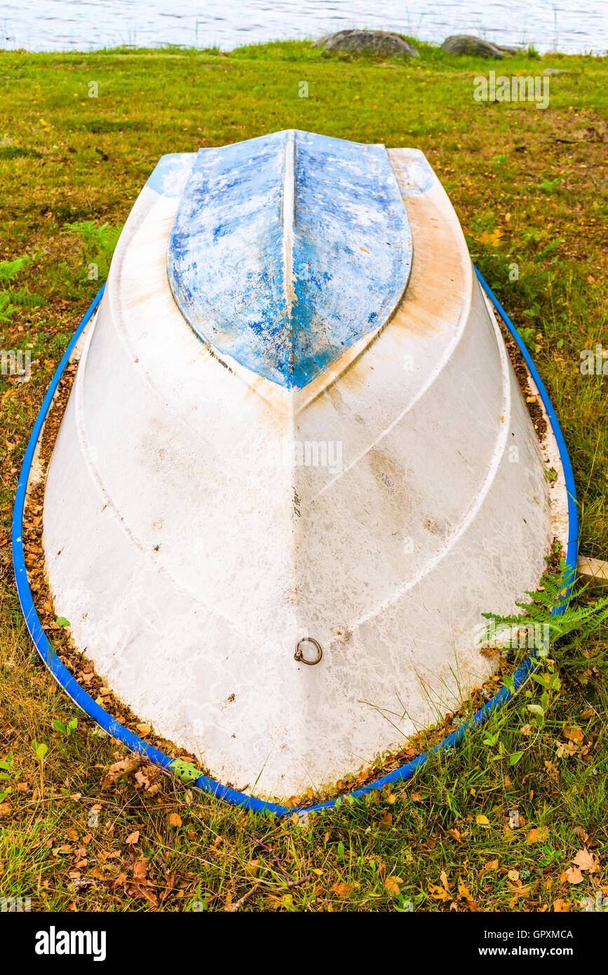 Upside down boat on land. The boat has blue keel and yellowing white sides. Dry leaves have started to accumulate around it. Stock Photo