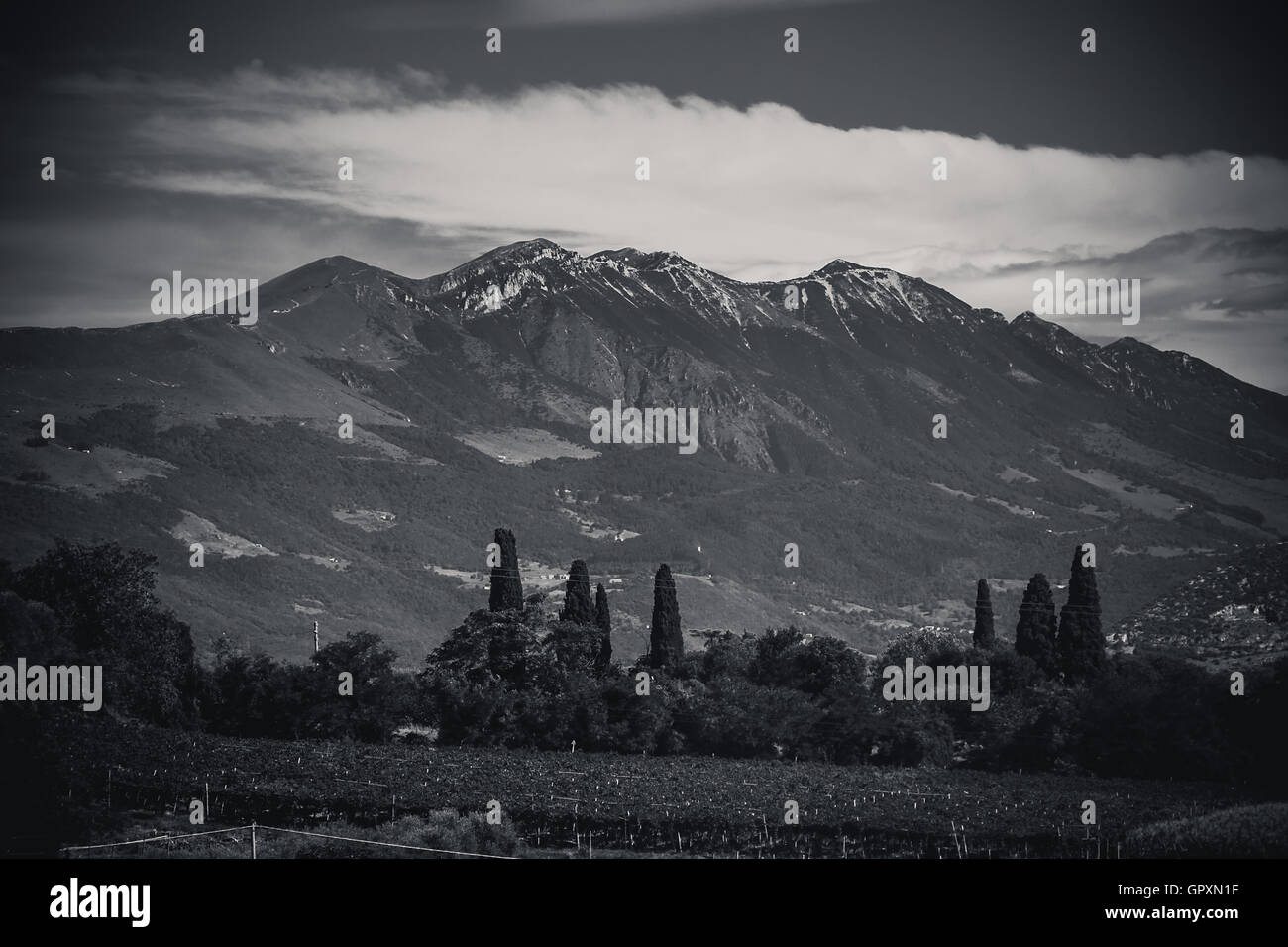 natural landscape of the Alps in Italy Stock Photo - Alamy