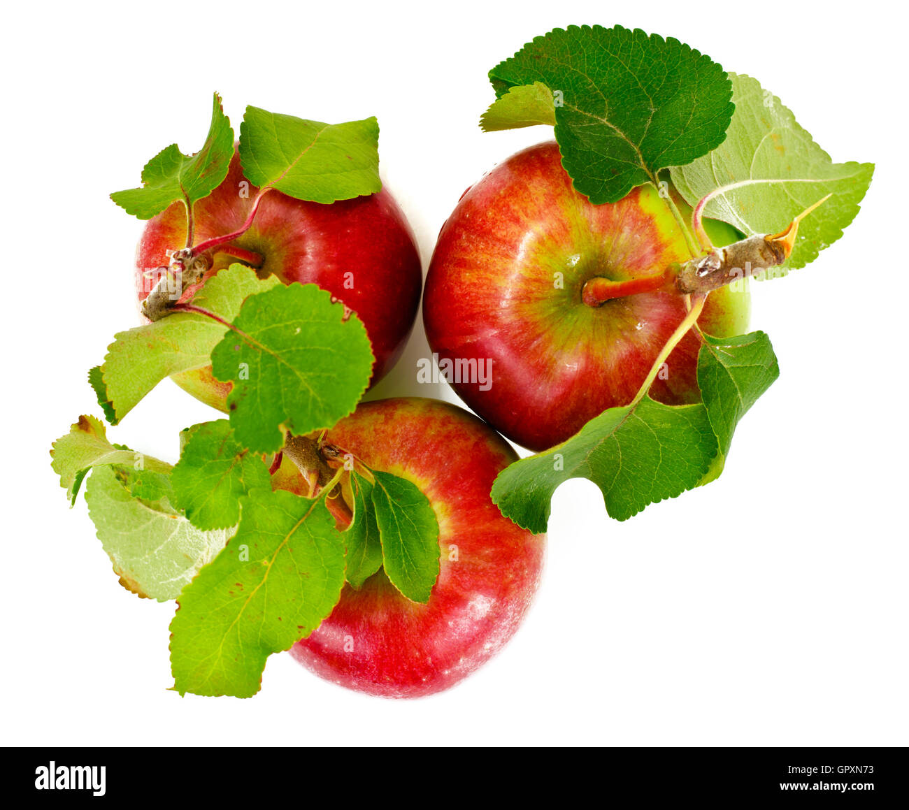 Fresh Sweet Tasty Red Apple Isolated on White Background Stock Photo